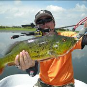 Picture Of Angler Fishing Peacock Bass