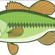 Picture Of Bass Fishing