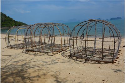 Picture Of Fish Traps