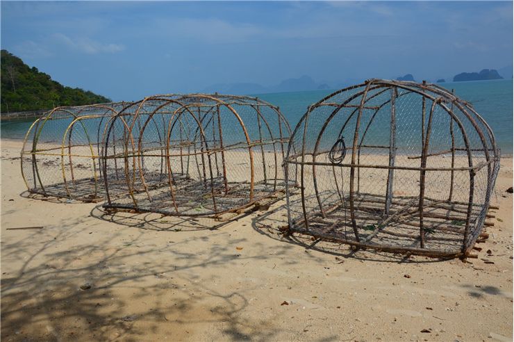 Picture Of Fish Traps
