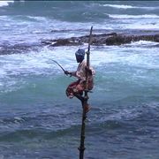 Picture Of Fisherman At Sri Lanka Beach