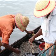 Picture Of Fishermen In India