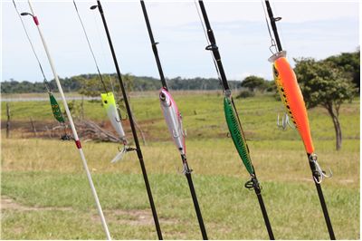 Picture Of Fishing Rods