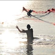 Picture Of Throwing Fischer Network